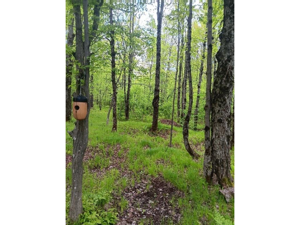 N10095 Woodland Lane Phillips WI 54555 1592175 image3