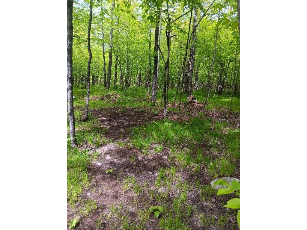 N10095 Woodland Lane Phillips WI 54555 1592175 image7