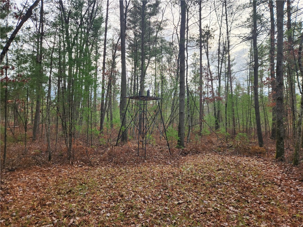 N10321 County Road K Merrillan WI 54754 1596962 image5