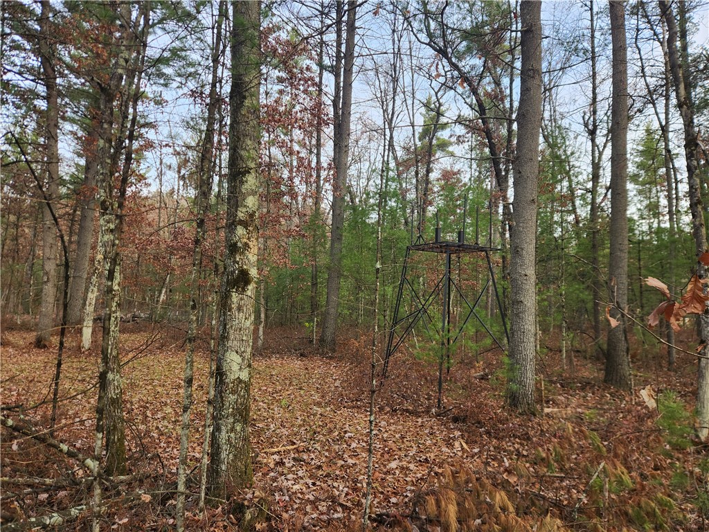 N10321 County Road K Merrillan WI 54754 1596962 image8