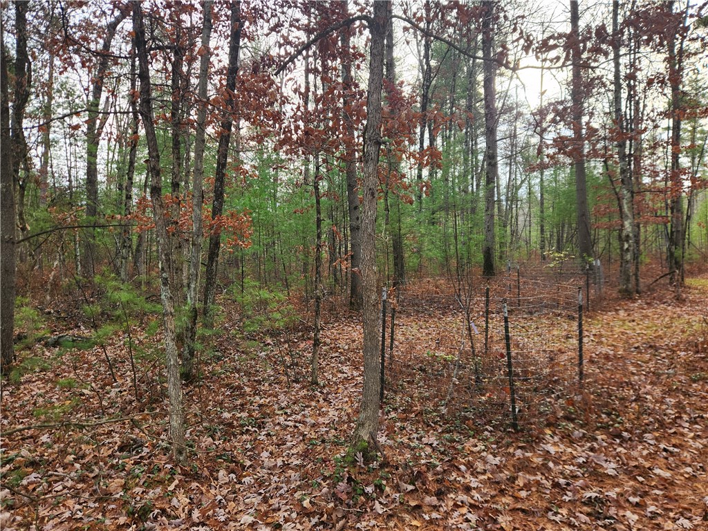 N10321 County Road K Merrillan WI 54754 1596962 image9