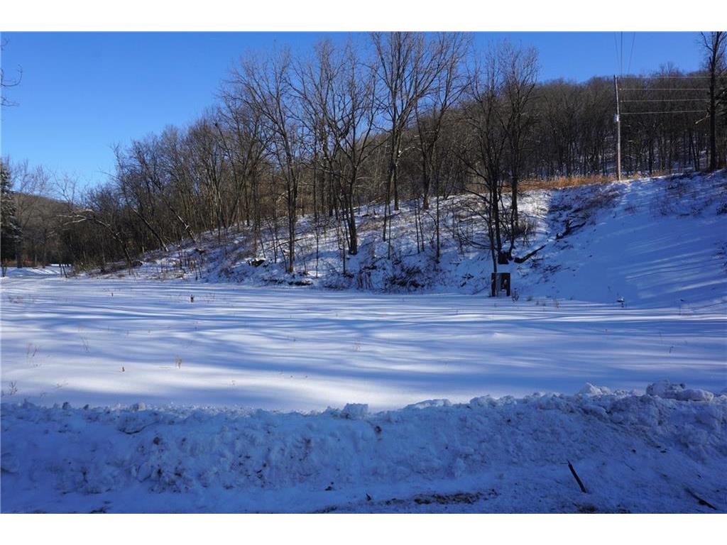 N1054 460th Street, Maiden Rock, WI 54750 MLS 1561744 Edina Realty