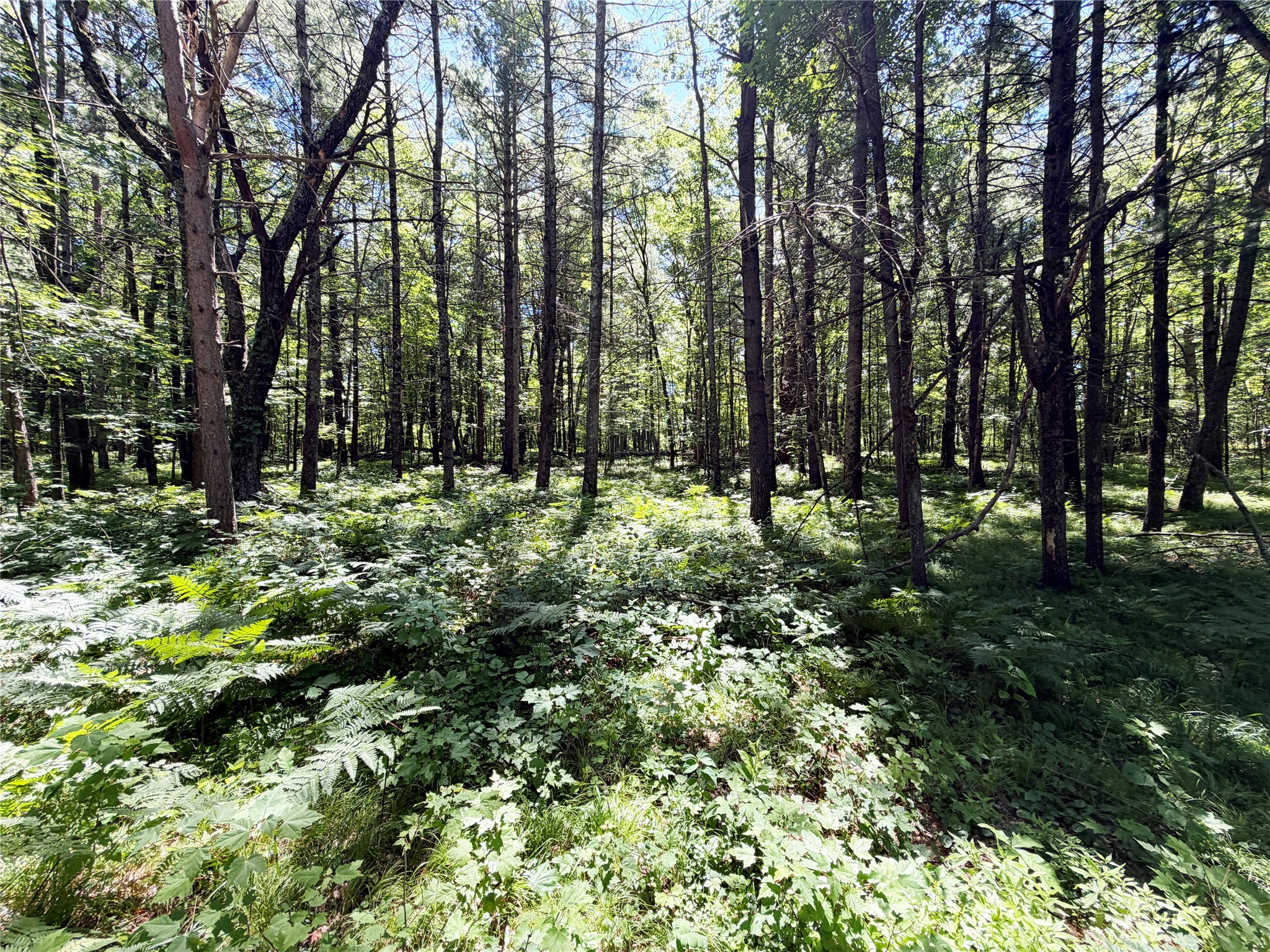 N1196 Swift Creek Drive New Auburn WI 54757 1602411 image32