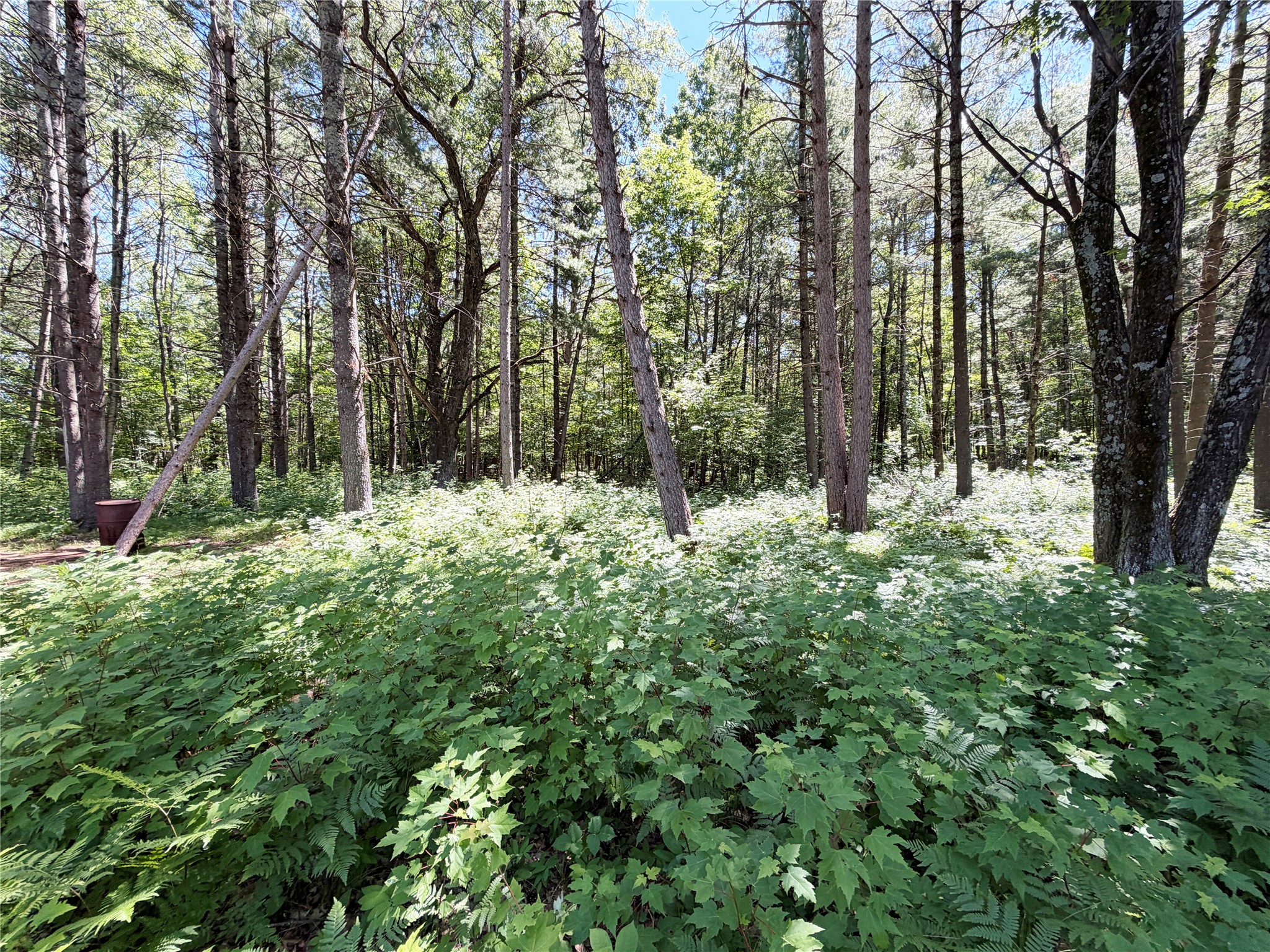 N1196 Swift Creek Drive New Auburn WI 54757 1602411 image33