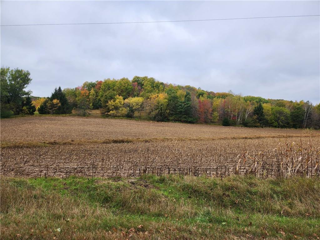 N12123 Olson Road Alma Center WI 54611 1577790 image1