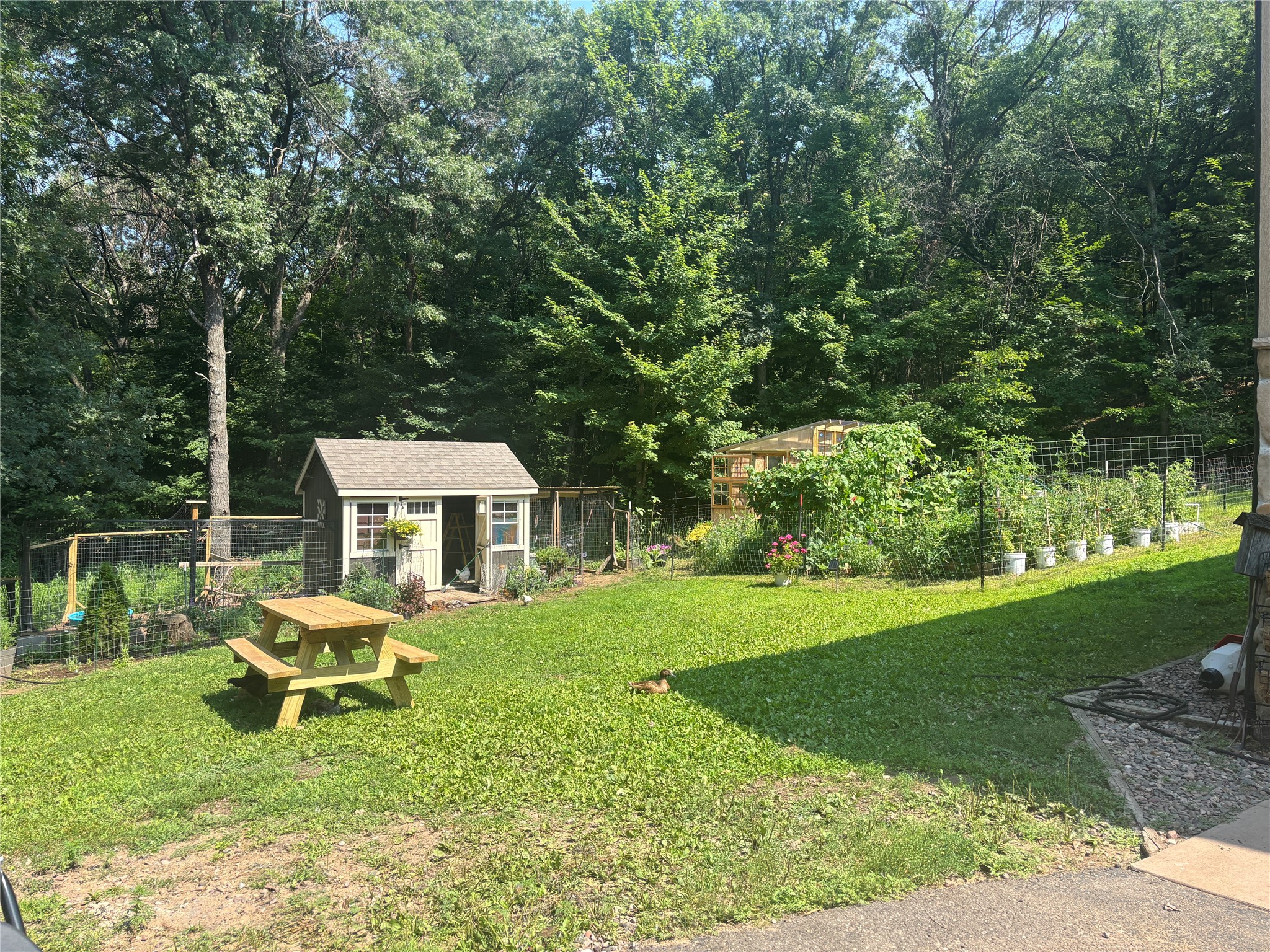 N12436 County Road W Colfax WI 54730 1599425 image25