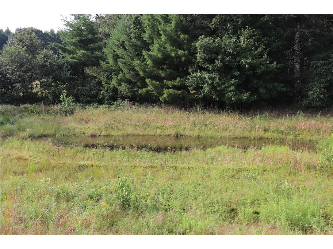 N12757 Rindahl Valley Road Osseo WI 54758 1594402 image57