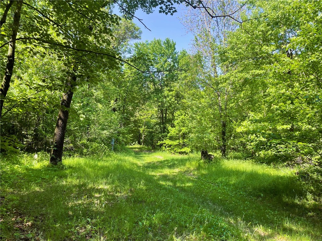 N12841 Mock Lane Osseo WI 54758 1592262 image1