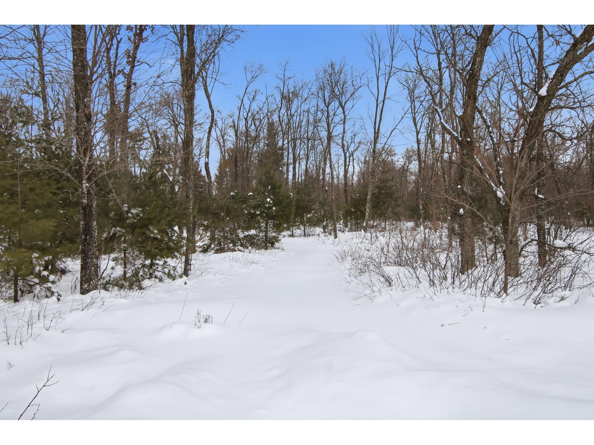 N12940 County Road T Fairchild WI 54741 - South Fork Buffalo River 1599321 image31