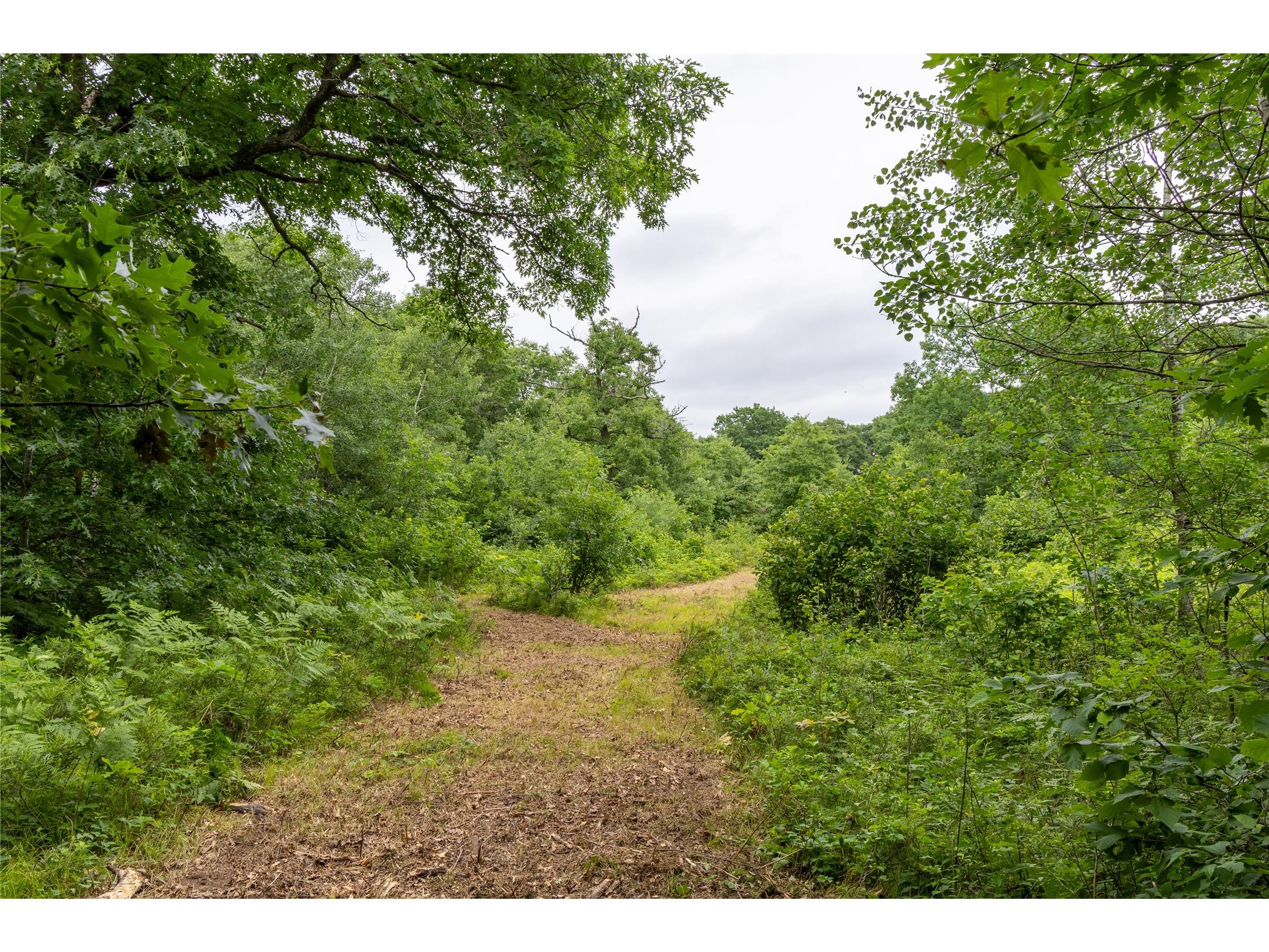 N1297 County Highway E Bruce WI 54819 - Flambeau 1602906 image12