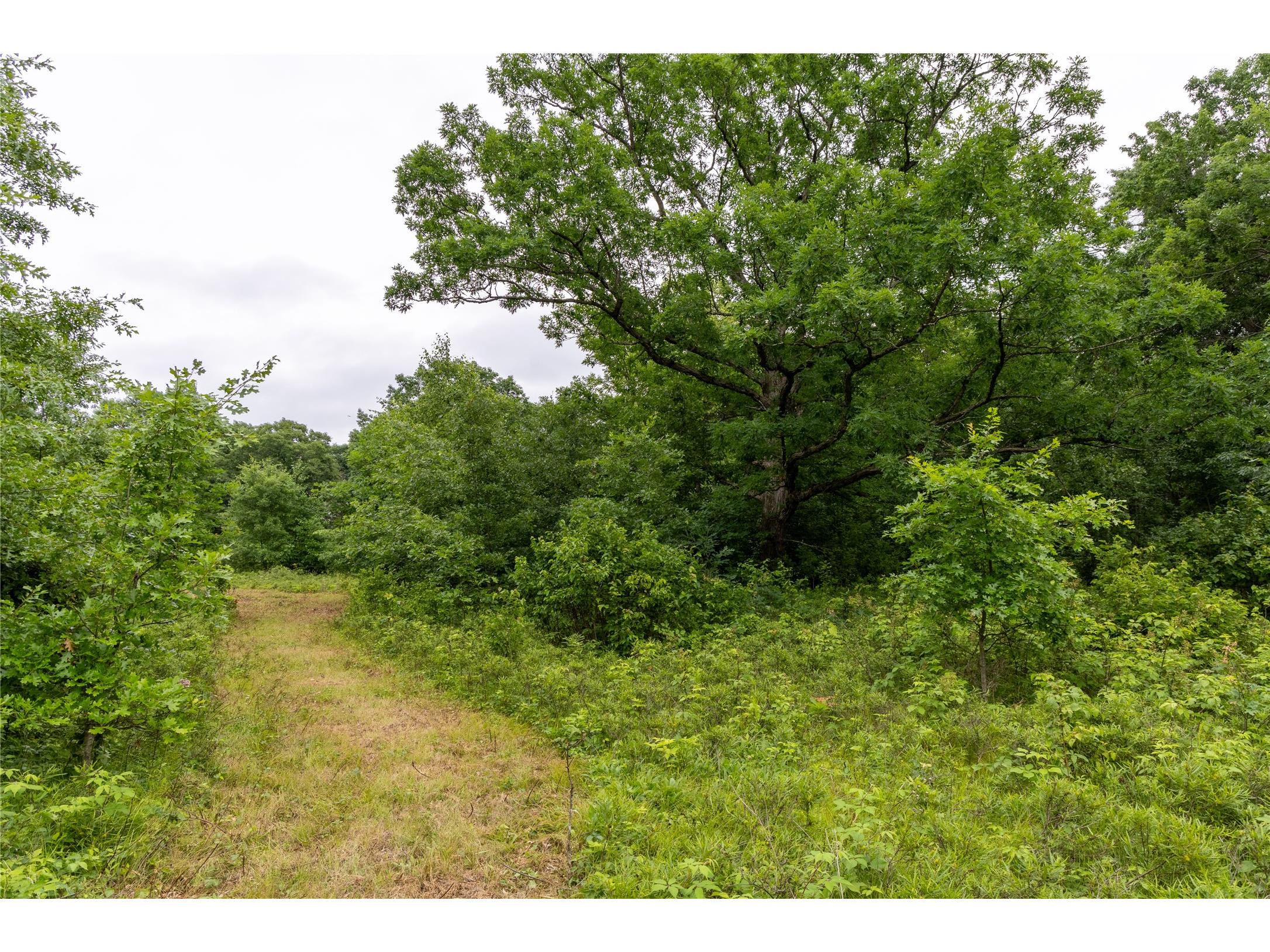 N1297 County Highway E Bruce WI 54819 - Flambeau 1602906 image13