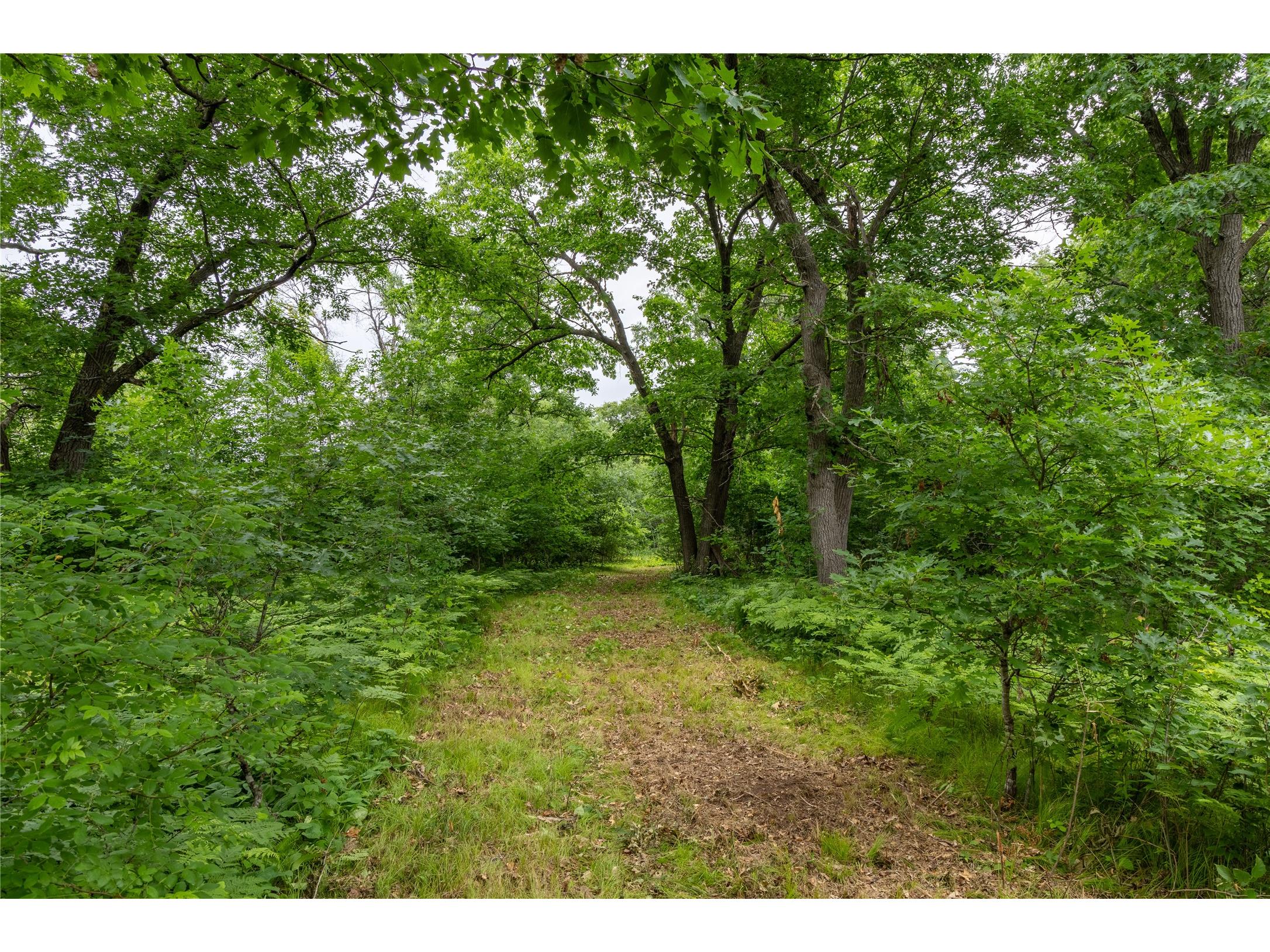 N1297 County Highway E Bruce WI 54819 - Flambeau 1602906 image14