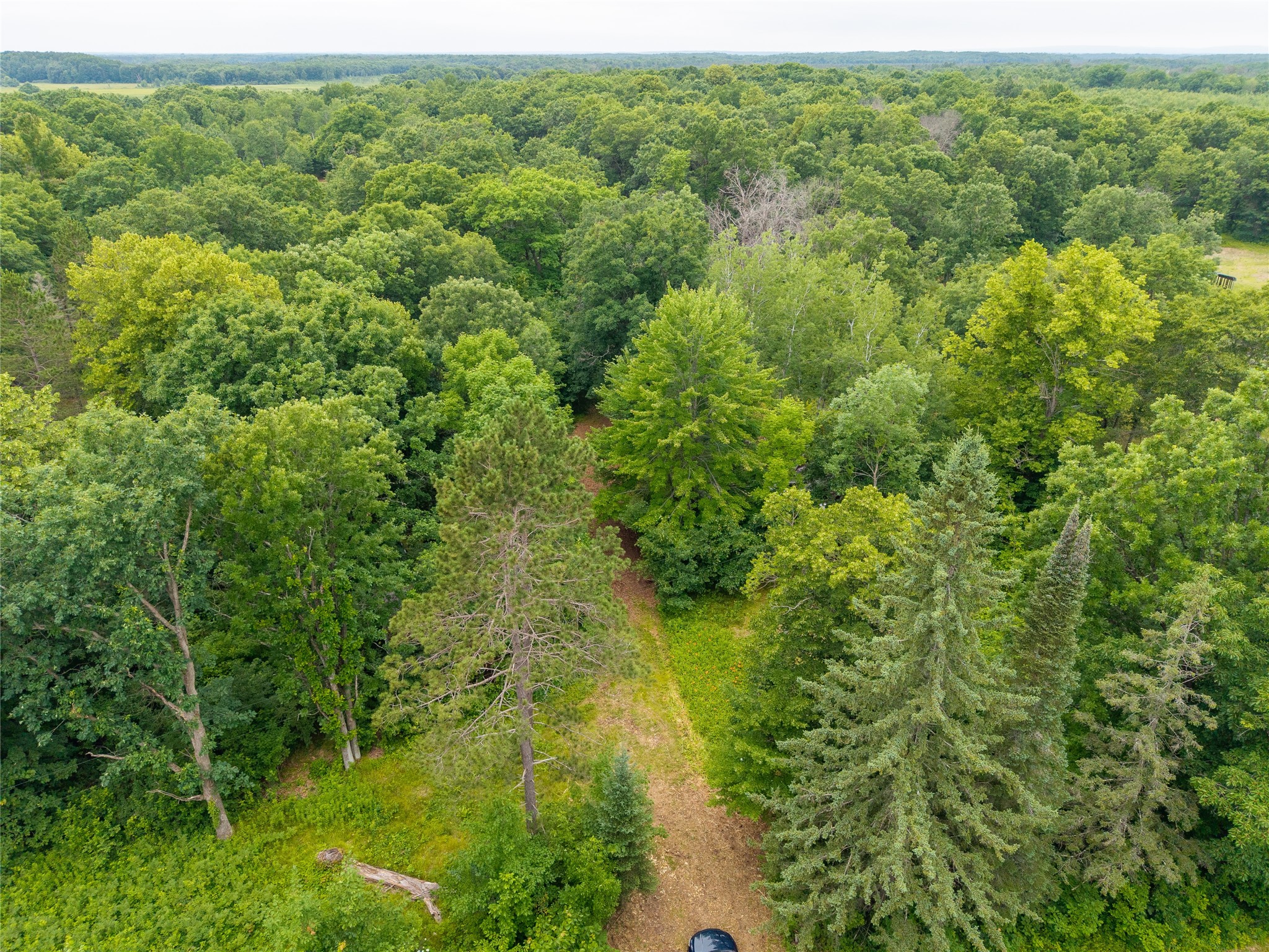 N1297 County Highway E Bruce WI 54819 - Flambeau 1602906 image17