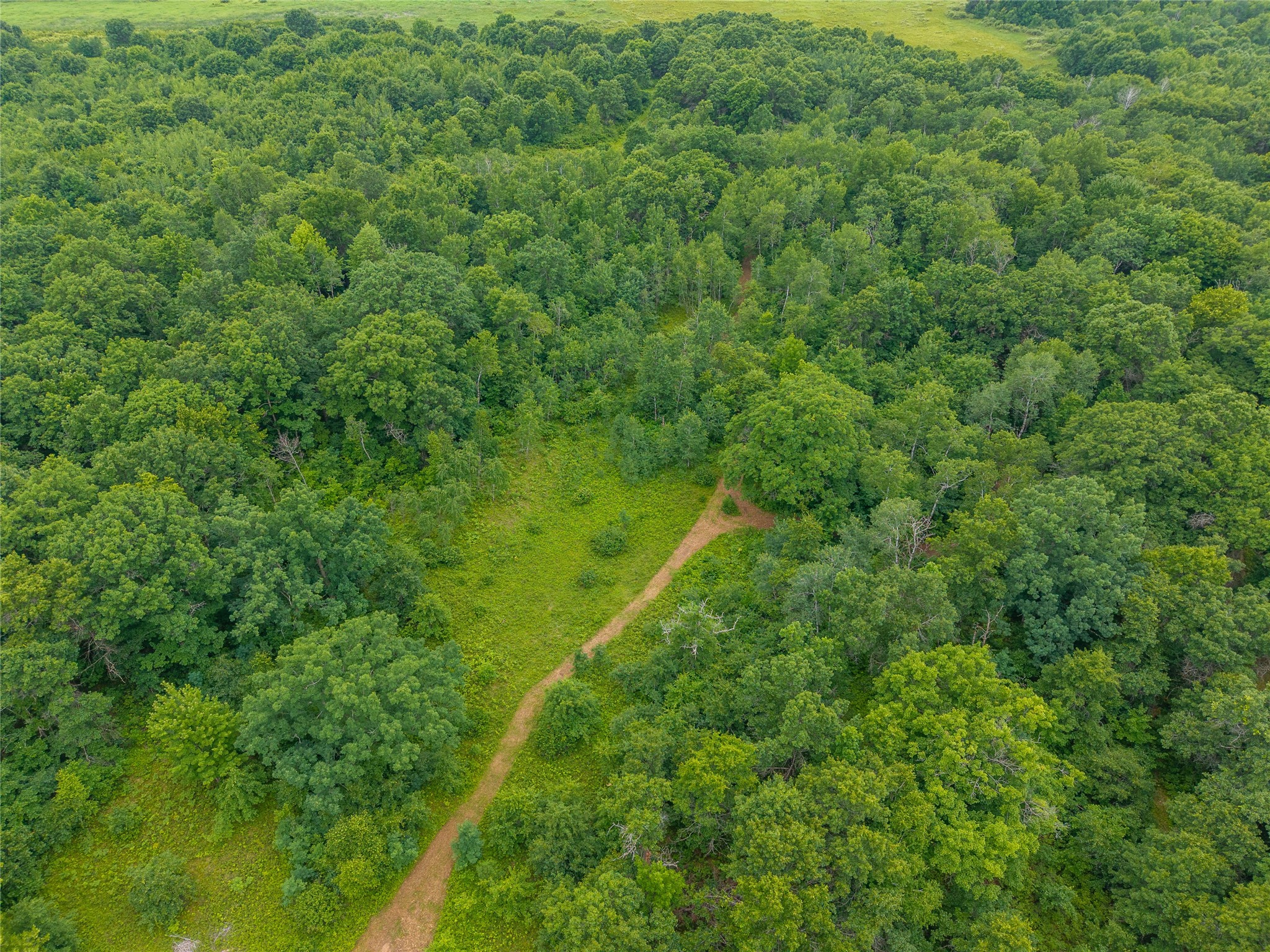 N1297 County Highway E Bruce WI 54819 - Flambeau 1602906 image22