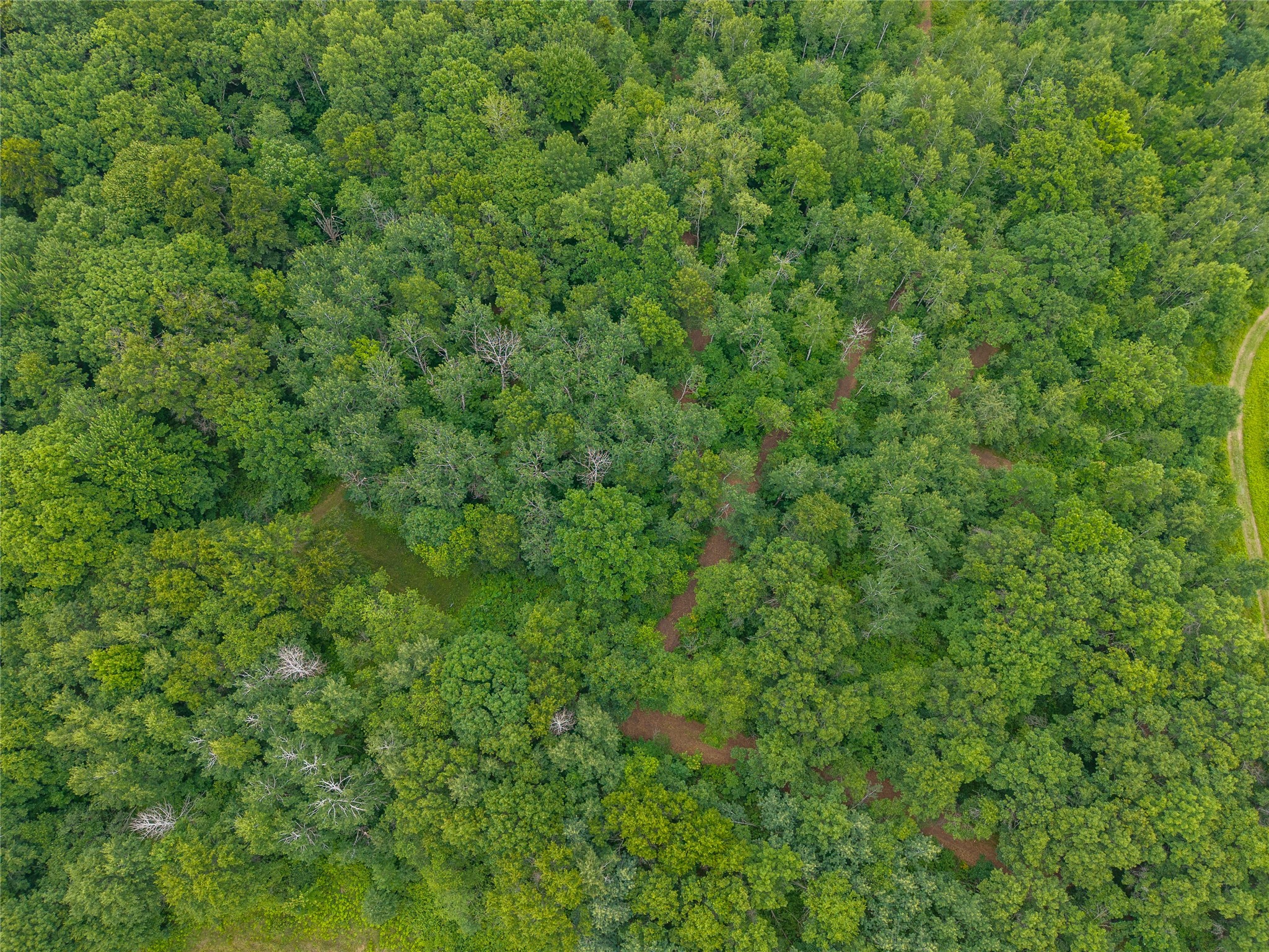 N1297 County Highway E Bruce WI 54819 - Flambeau 1602906 image24