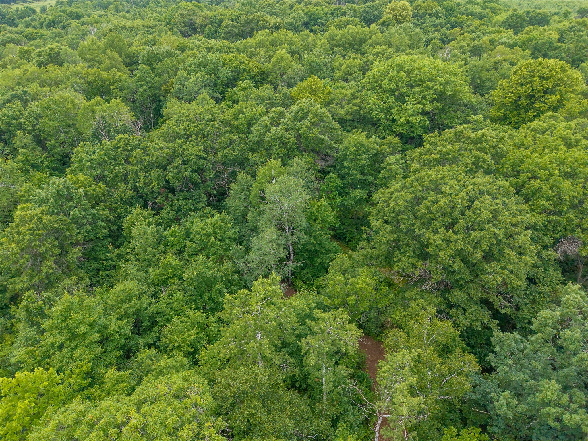 N1297 County Highway E Bruce WI 54819 - Flambeau 1602906 image28