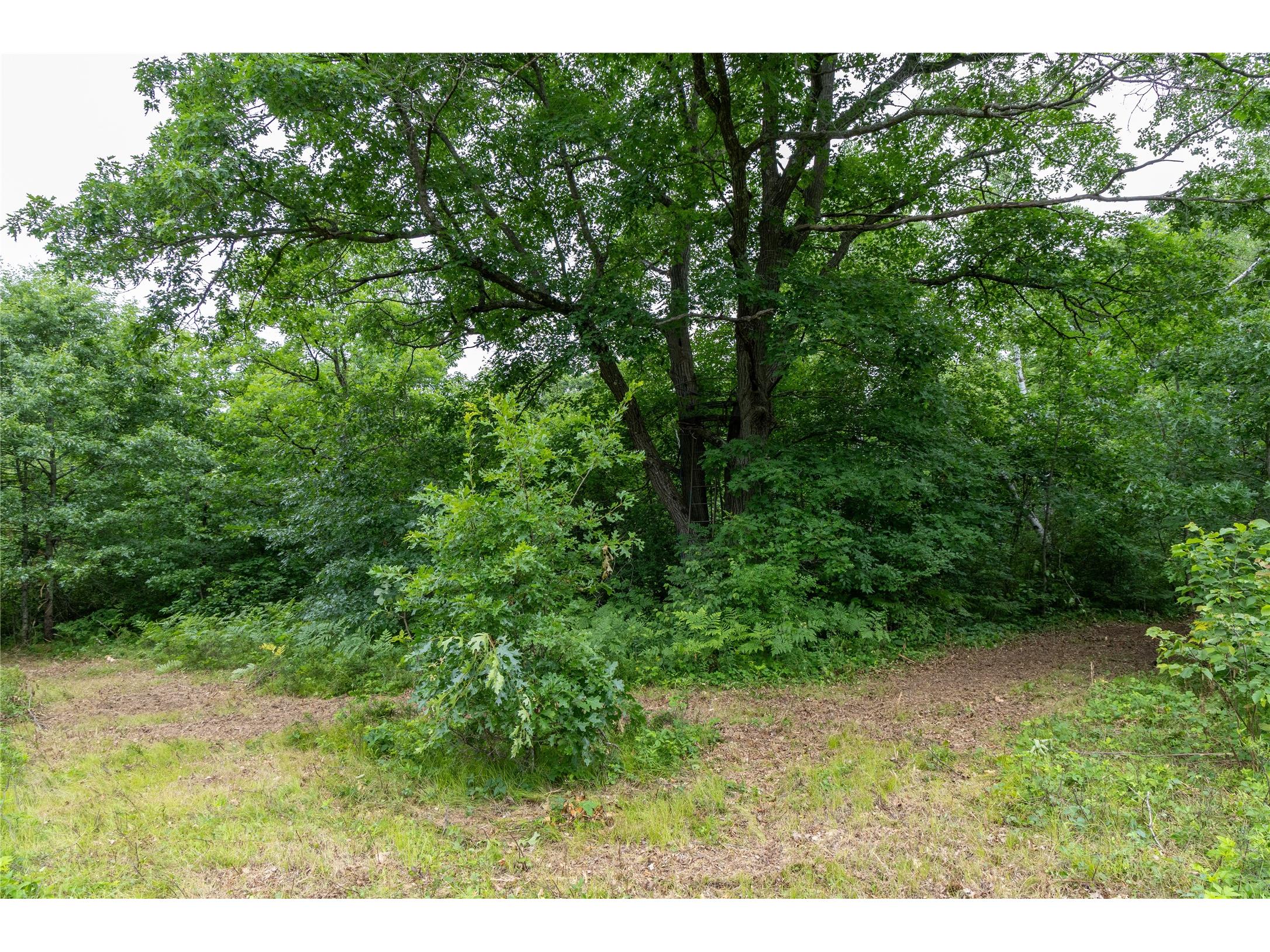 N1297 County Highway E Bruce WI 54819 - Flambeau 1602906 image38