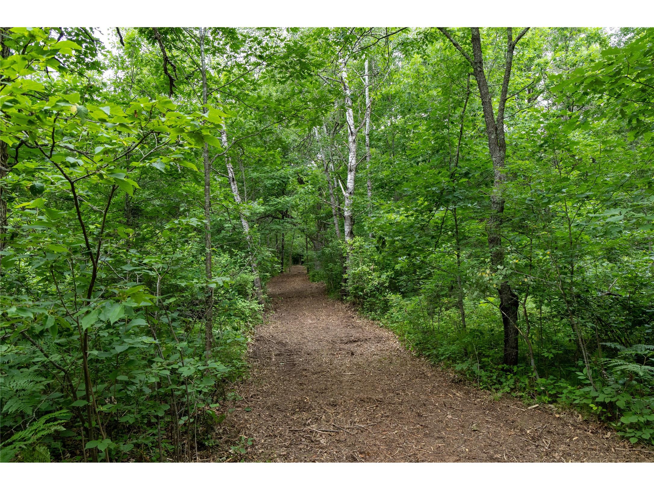 N1297 County Highway E Bruce WI 54819 - Flambeau 1602906 image39