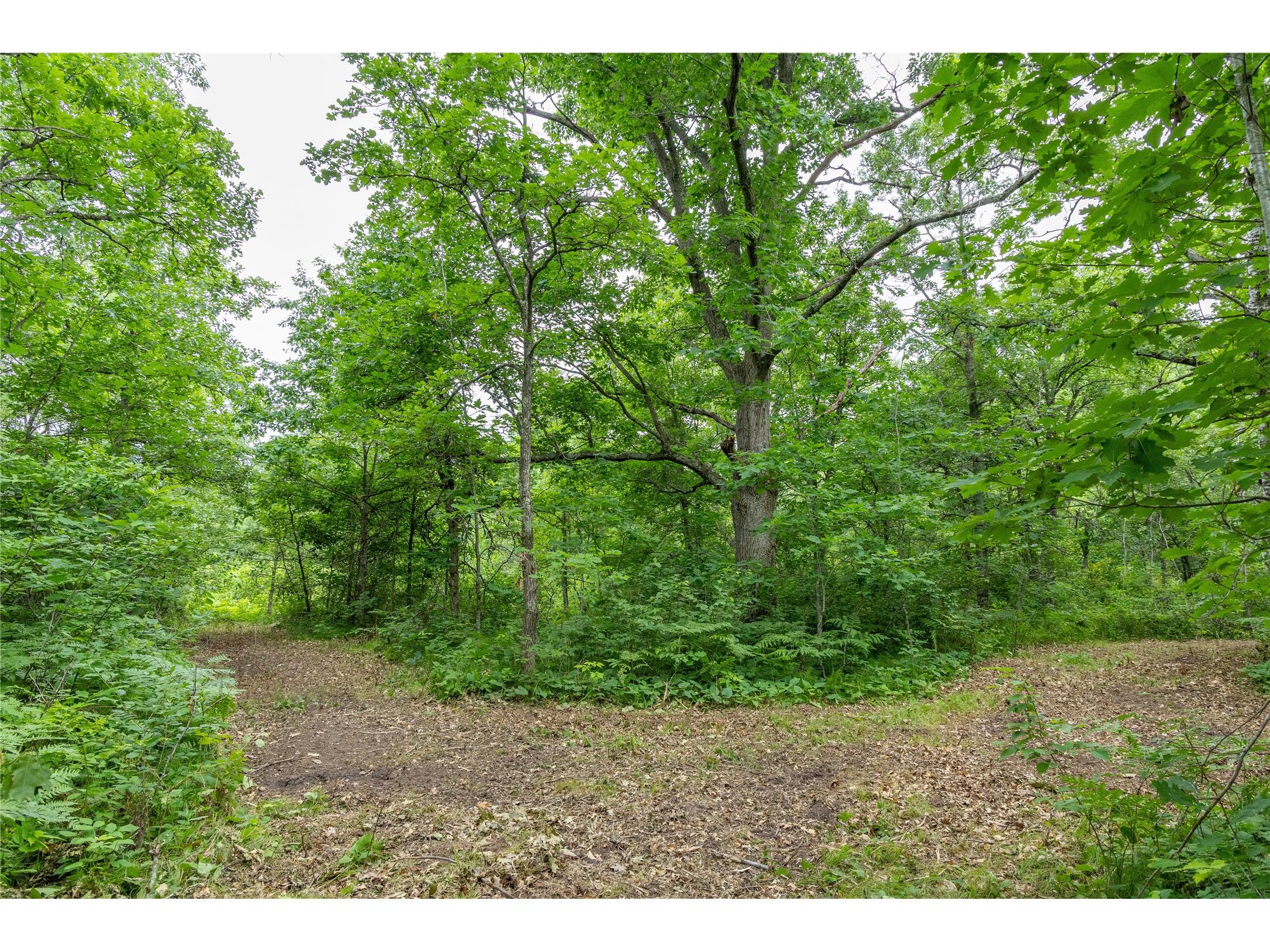 N1297 County Highway E Bruce WI 54819 - Flambeau 1602906 image43
