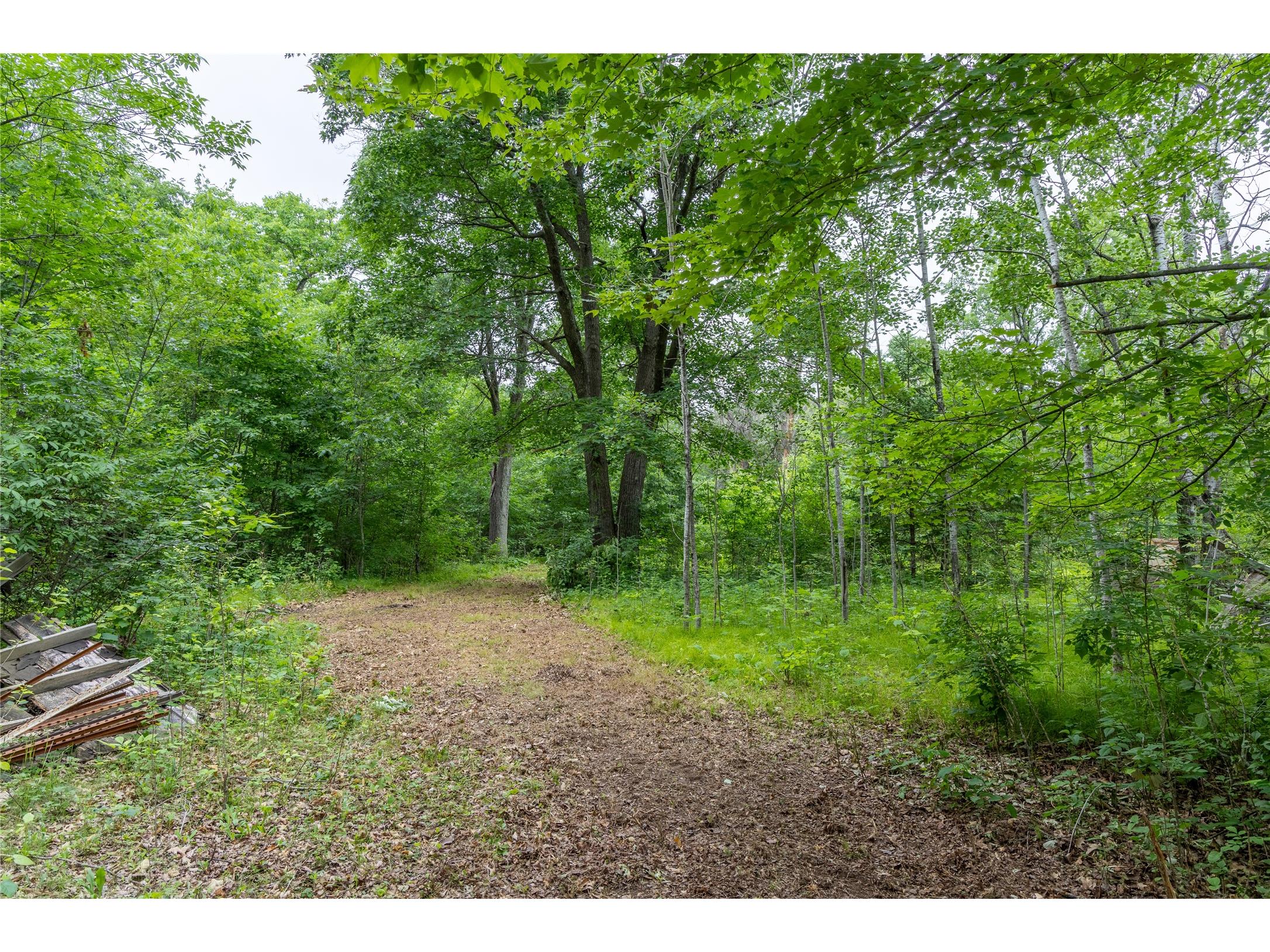 N1297 County Highway E Bruce WI 54819 - Flambeau 1602906 image6