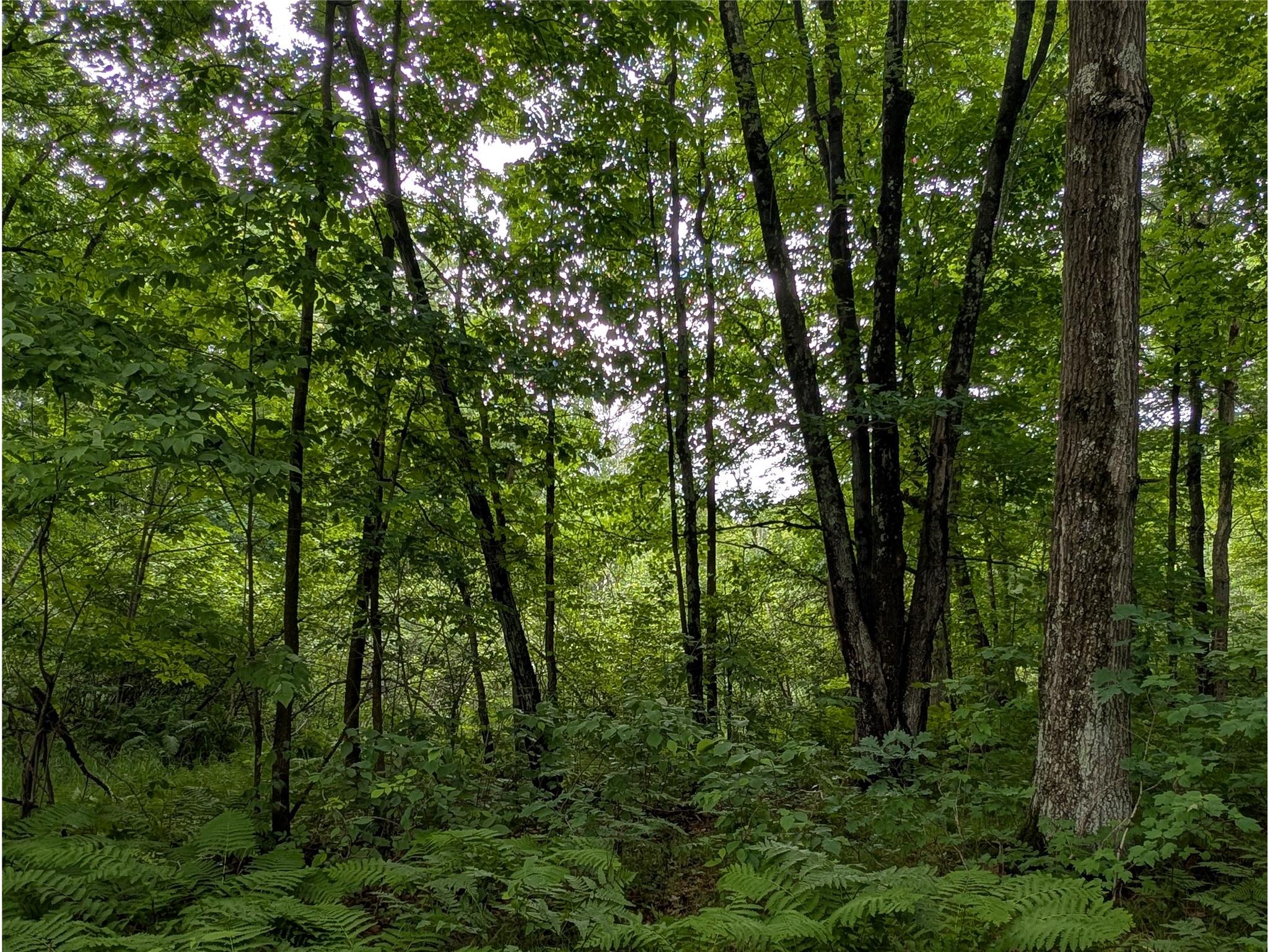 N131 Dalen Road Birchwood WI 54817 1602460 image48