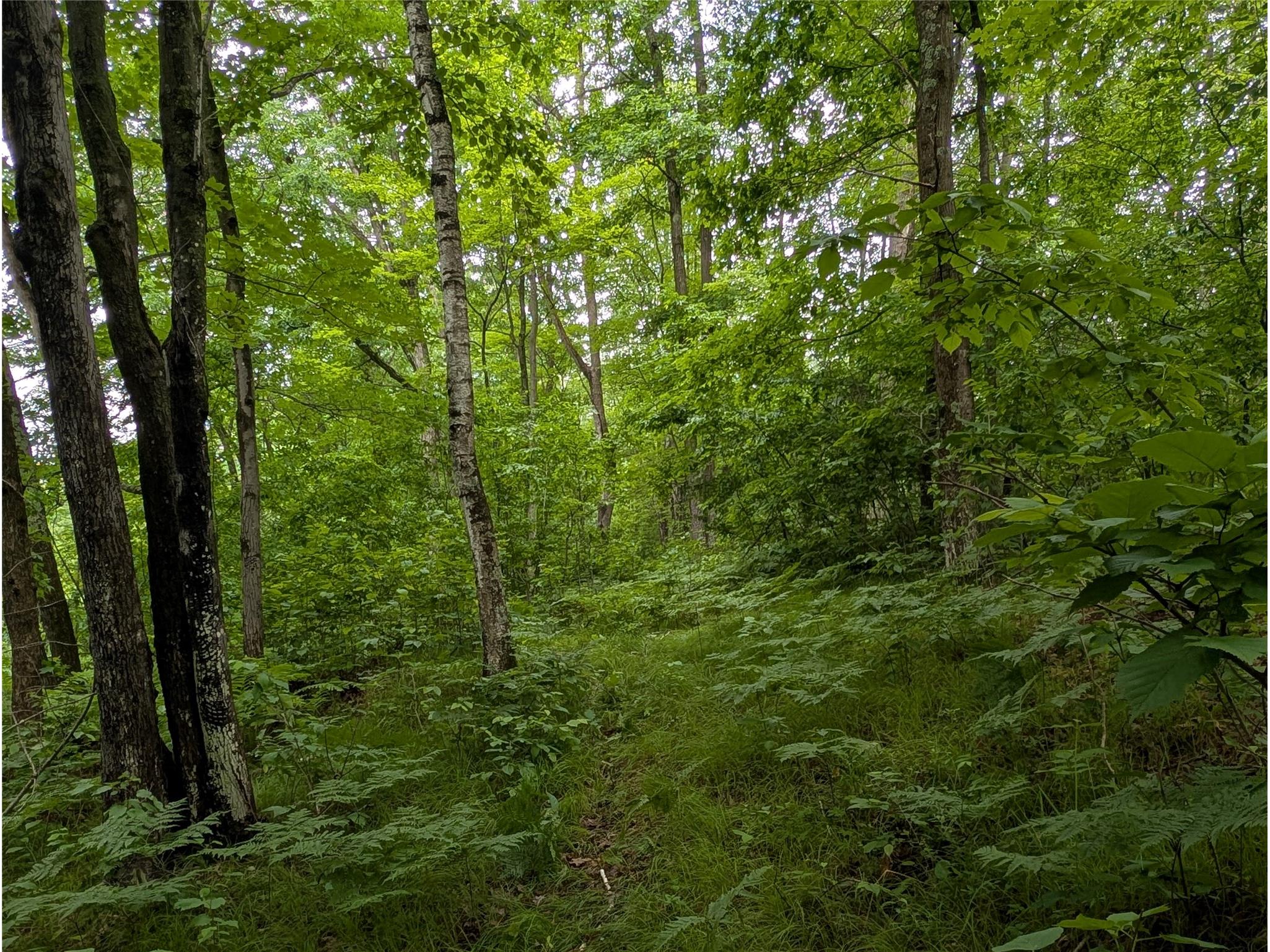 N131 Dalen Road Birchwood WI 54817 1602460 image49