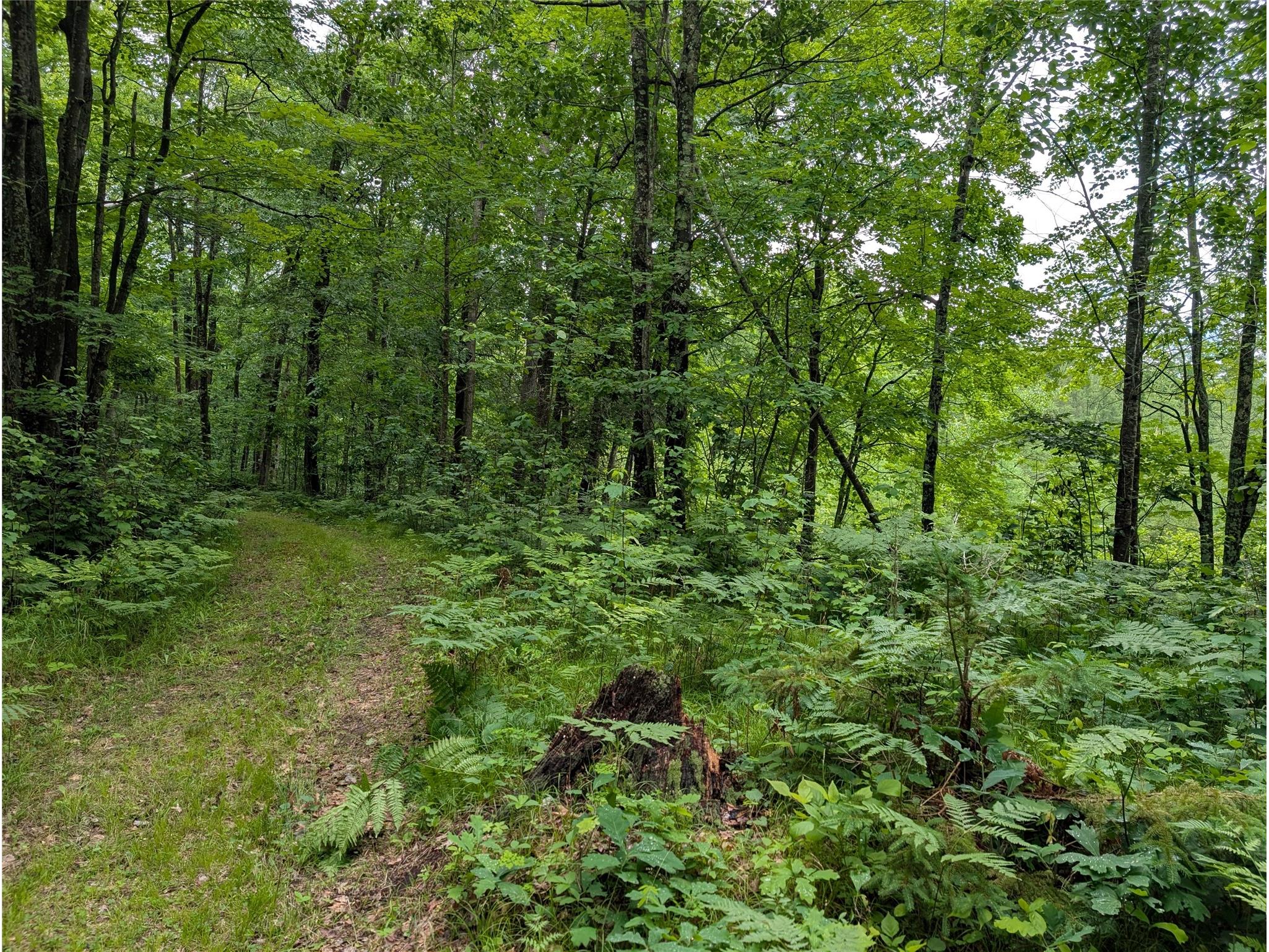 N131 Dalen Road Birchwood WI 54817 1602460 image50