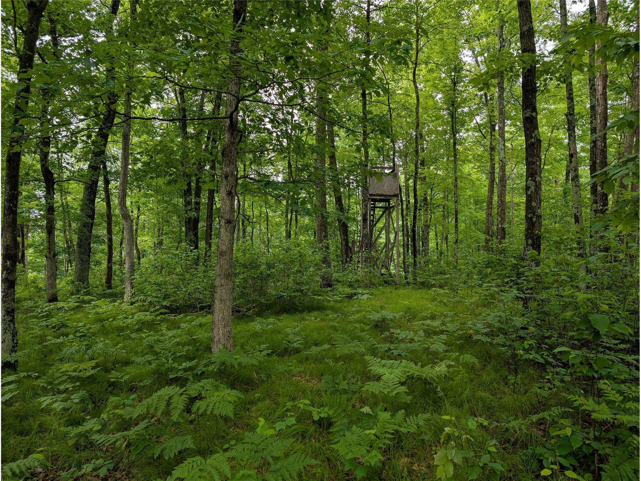 N131 Dalen Road Birchwood WI 54817 1602460 image51