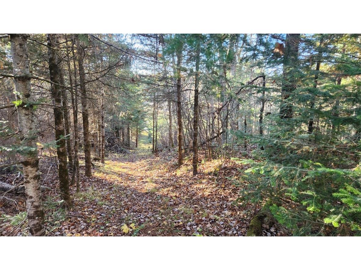 N13275 N Fork Road Park Falls WI 54552 - North fork Flambeau River 1596835 image12