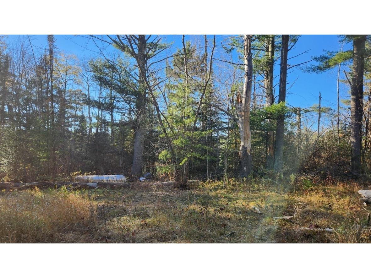 N13275 N Fork Road Park Falls WI 54552 - North fork Flambeau River 1596835 image13