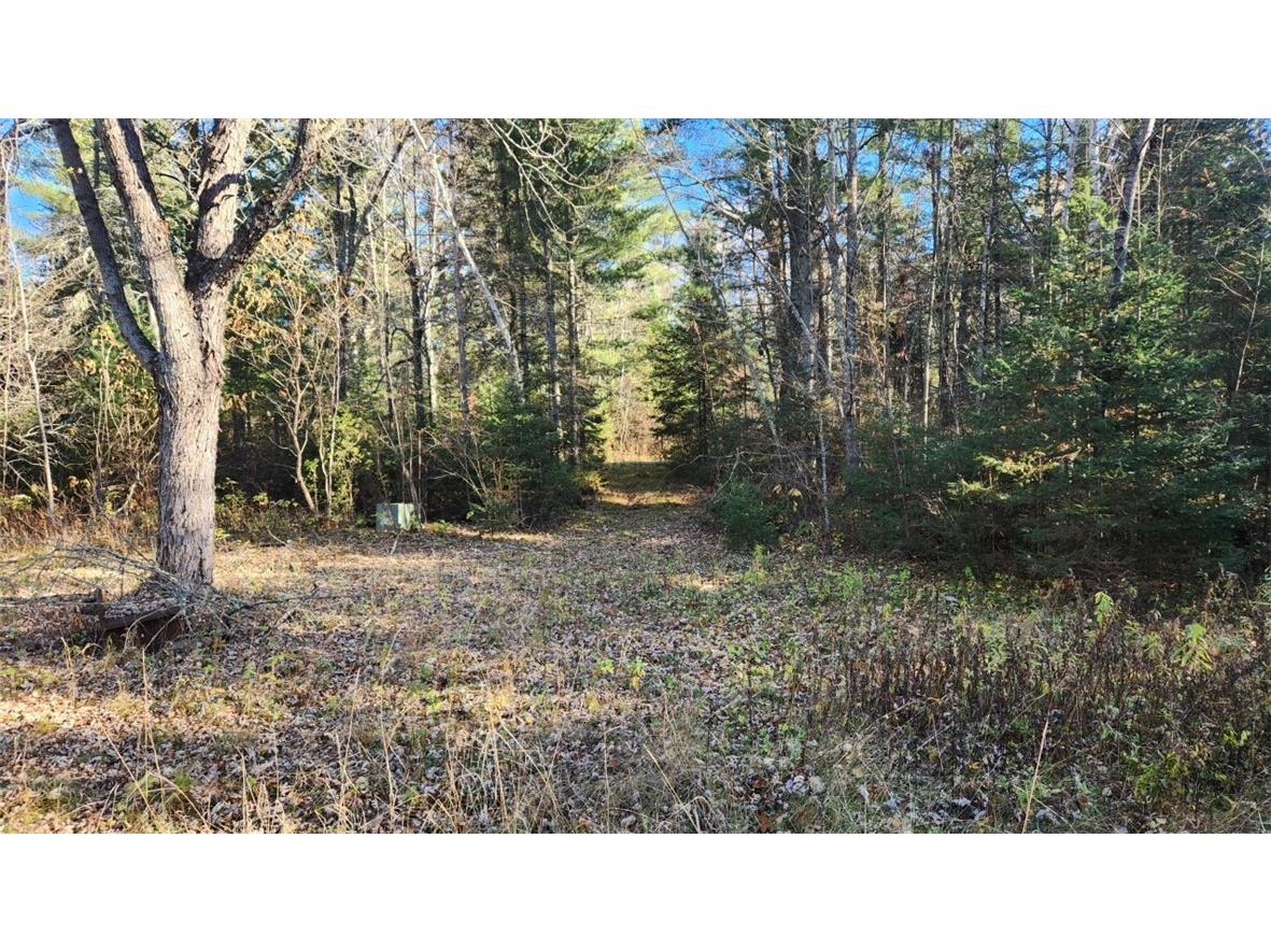 N13275 N Fork Road Park Falls WI 54552 - North fork Flambeau River 1596835 image14