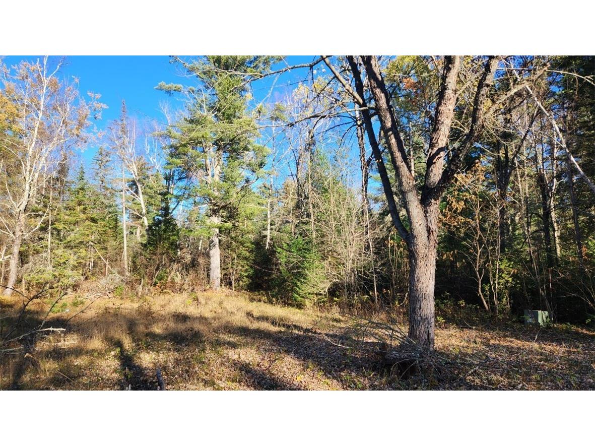 N13275 N Fork Road Park Falls WI 54552 - North fork Flambeau River 1596835 image16