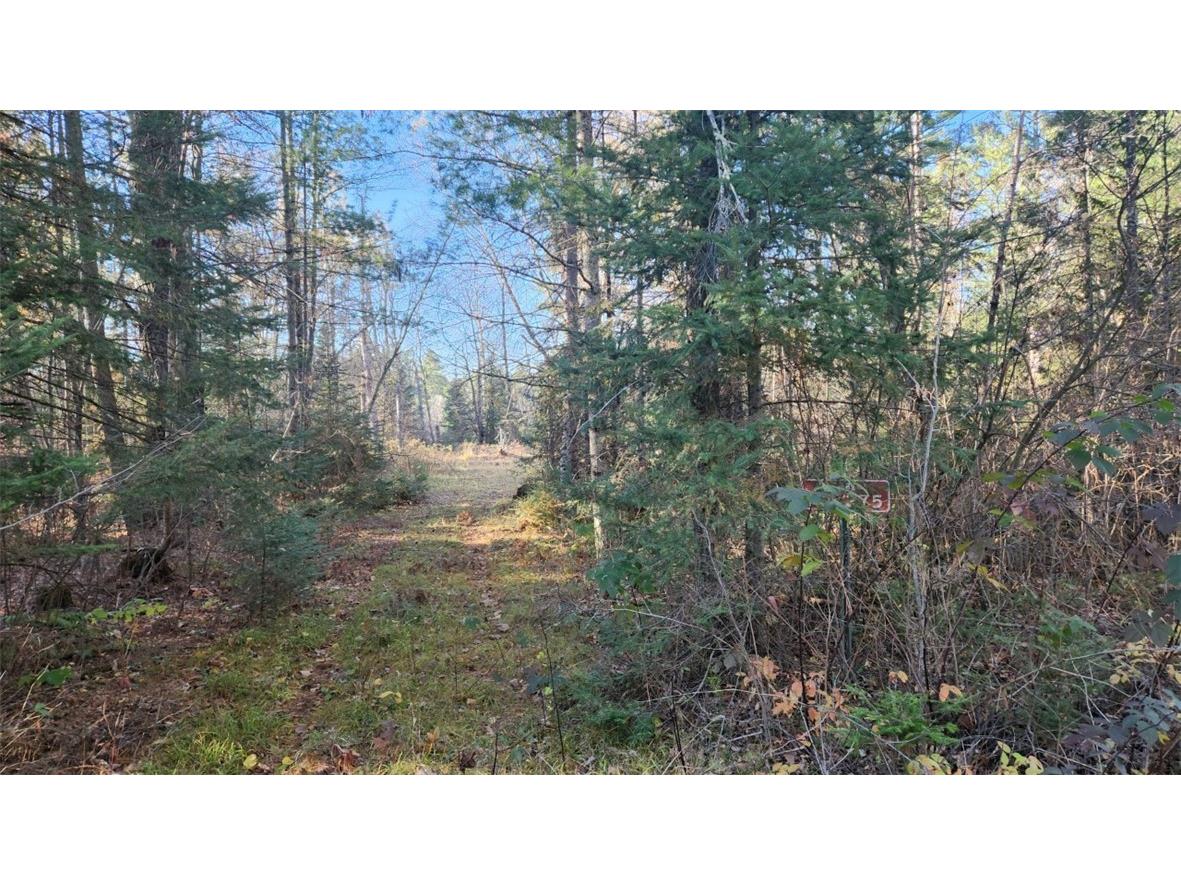 N13275 N Fork Road Park Falls WI 54552 - North fork Flambeau River 1596835 image17