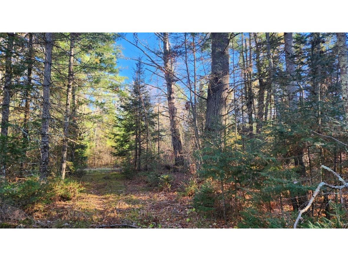 N13275 N Fork Road Park Falls WI 54552 - North fork Flambeau River 1596835 image18