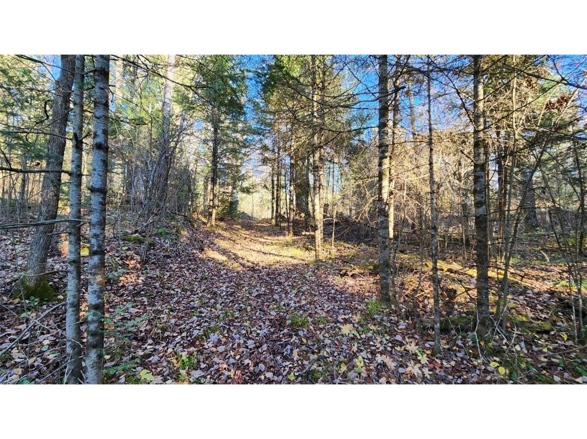 N13275 N Fork Road Park Falls WI 54552 - North fork Flambeau River 1596835 image3