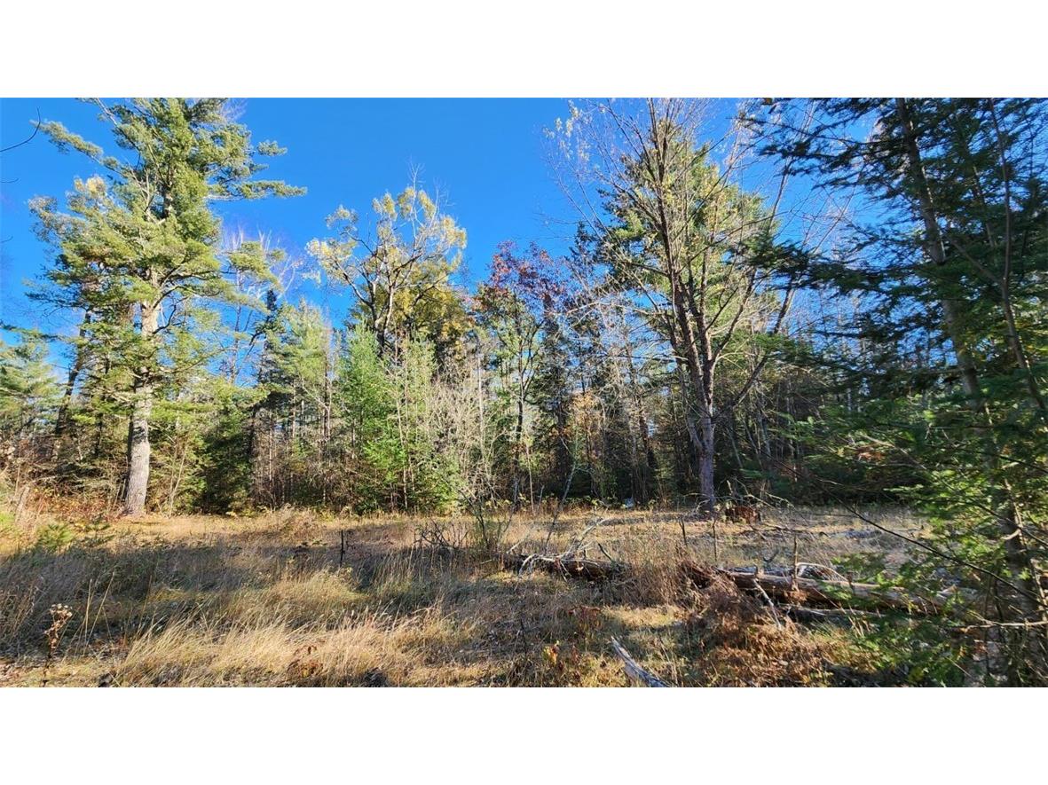 N13275 N Fork Road Park Falls WI 54552 - North fork Flambeau River 1596835 image4