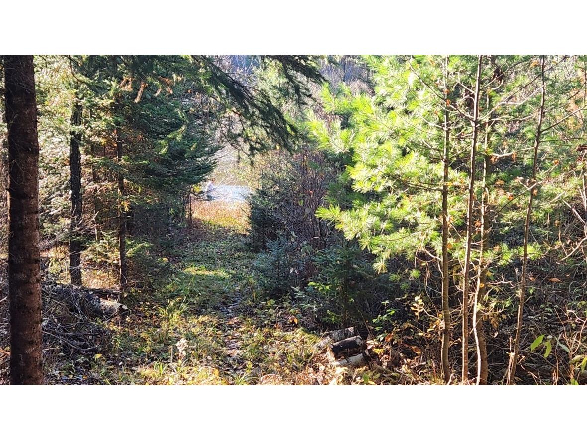 N13275 N Fork Road Park Falls WI 54552 - North fork Flambeau River 1596835 image5