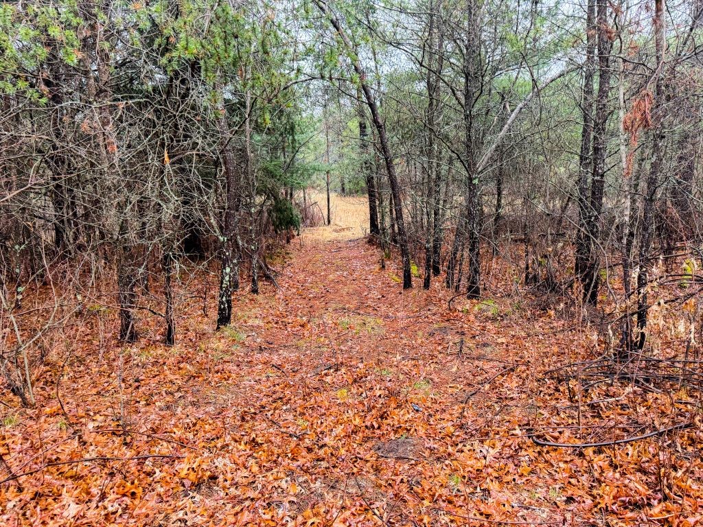 N13309 Bear Tree Road Minong WI 54859 1581727 image1