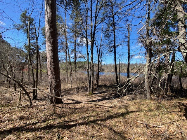 N13369 Osprey Drive Minong WI 54859 - Gilmore Lake 1540106 image11