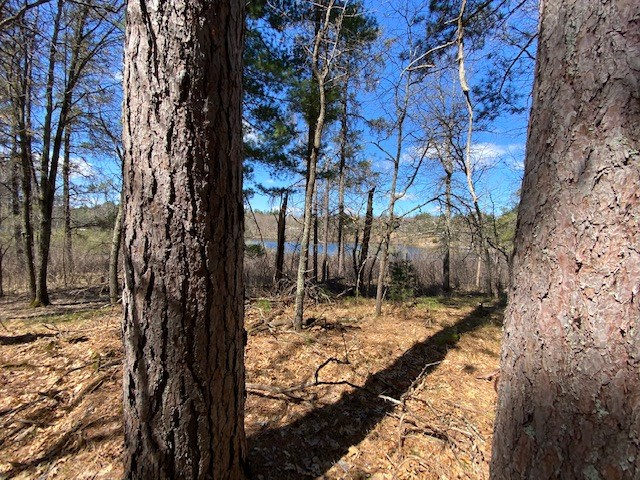 N13369 Osprey Drive Minong WI 54859 - Gilmore Lake 1540106 image12