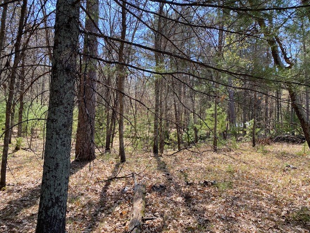 N13369 Osprey Drive Minong WI 54859 - Gilmore Lake 1540106 image14