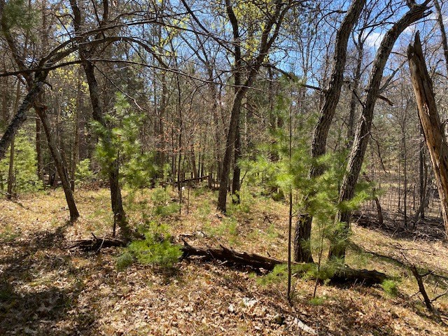 N13369 Osprey Drive Minong WI 54859 - Gilmore Lake 1540106 image15