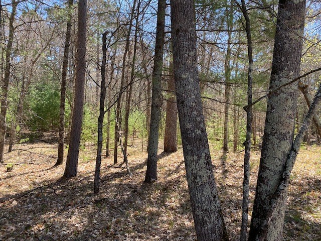 N13369 Osprey Drive Minong WI 54859 - Gilmore Lake 1540106 image16