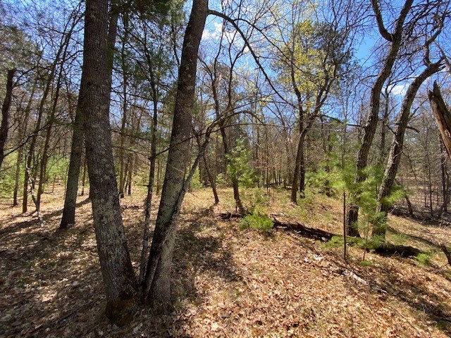 N13369 Osprey Drive Minong WI 54859 - Gilmore Lake 1540106 image17