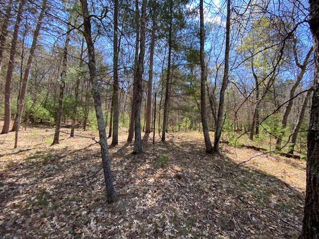 N13369 Osprey Drive Minong WI 54859 - Gilmore Lake 1540106 image18