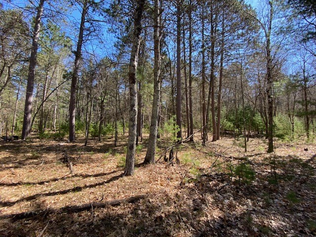 N13369 Osprey Drive Minong WI 54859 - Gilmore Lake 1540106 image19