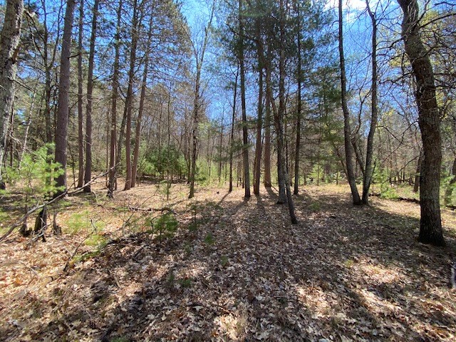 N13369 Osprey Drive Minong WI 54859 - Gilmore Lake 1540106 image20