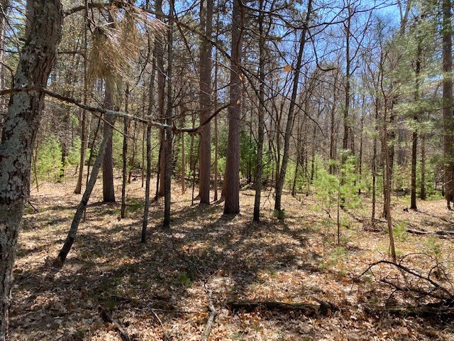 N13369 Osprey Drive Minong WI 54859 - Gilmore Lake 1540106 image22