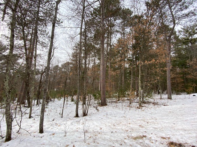 N13369 Osprey Drive Minong WI 54859 - Gilmore Lake 1540106 image24