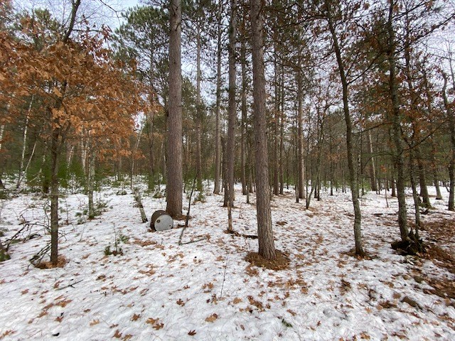 N13369 Osprey Drive Minong WI 54859 - Gilmore Lake 1540106 image26